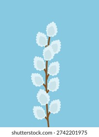 Willow branch spring vector on blue background. Minimal pussy willow twig in hand drawn style. Botanical spring postcard.