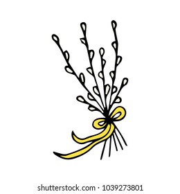 Willow branch vector illustration.