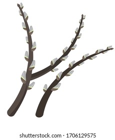 willow branch vector illustration.  spring branch with swollen buds.  blooming tree on white background. Easter holiday.