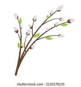 Willow branches. Greeting card template. Spring flower. Easter concept