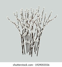 Ramas silvestres aisladas en un fondo gris. Ilustración vectorial.