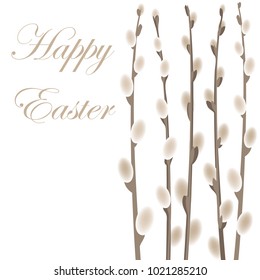 Willow branches isolated on white background. Palm sunday vector illustration.