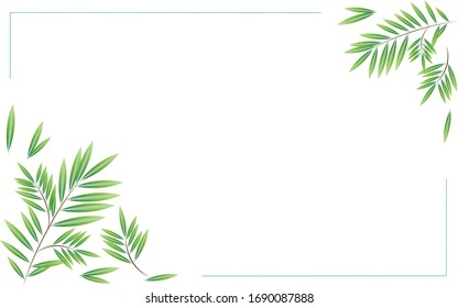 Willow Branches Lines Collage Vector