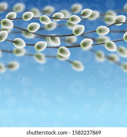 Willow branches on blue sky with bokeh effect seamless border.