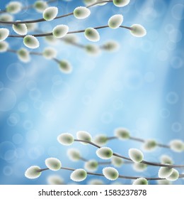 Willow branches on blue sky with bokeh effect template.