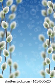 Willow branches on blue sky with bokeh effect template.