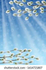 Willow branches on blue sky with bokeh effect template.