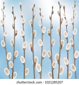 Willow branches on blurred sky blue background. Palm sunday vector illustration.