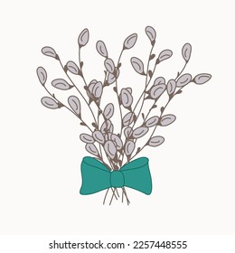 Willow buds with bow. Pussy willow Doodle gray and green vector illustration for Palm Sunday, easter