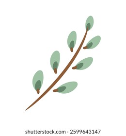 Willow burgeon isolated on white background. Minimalist vector icon of a pussy willow branch with cute buds. Willow tree sprig in simple flat style