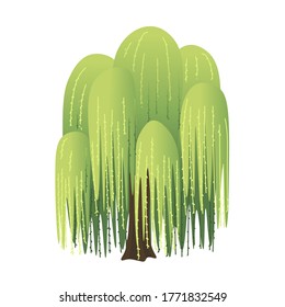 Willow cartoon tree. Vector illustration
