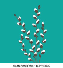 willow catkins twigs- vector illustration