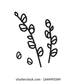 willow catkins twigs- vector illustration