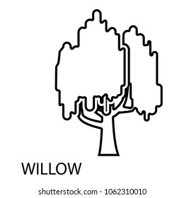 Willow icon. Outline illustration of willow vector icon for web