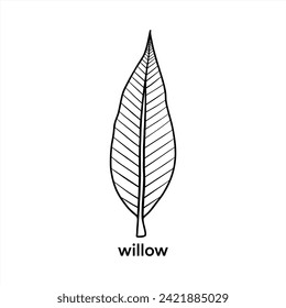 Willow Leaf - Black Outline Vector Design 