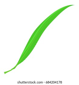 Willow leaf icon, cartoon style