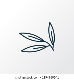 Willow leaf icon line symbol. Premium quality isolated rowan element in trendy style.