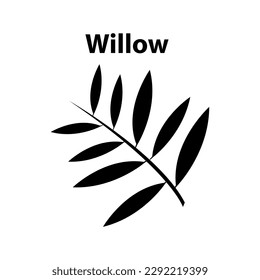 Willow leaf icon. willow leaf vector illustration on white background..eps