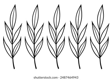 Willow Leaf line art celebrating the beauty of delicate willow foliage