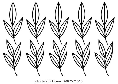 Willow Leaf line art visual creation