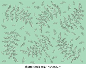 willow leaf on mint background