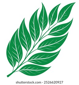 Willow leaf vector silhouette in white background