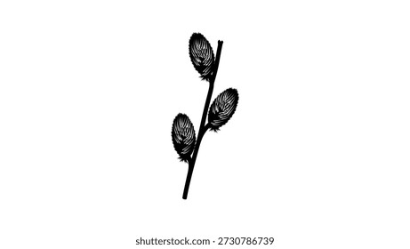 Willow mount aso, black isolated silhouette