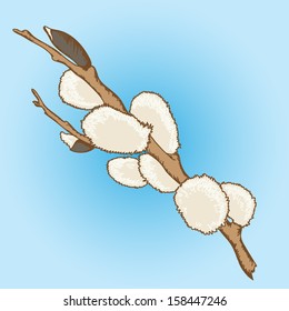 Willow on blue background