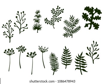 Willow and palm tree branches, black fern twigs, lichen moss, mistletoe summer grass herbs, dandelion flower vector illustrations set. Hand drawn branches, twigs floral collection isolated on white.