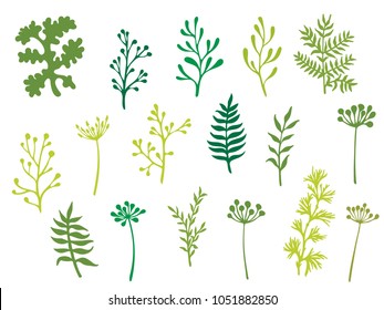 Willow and palm tree branches, fern twigs, lichen moss, mistletoe and rosemary grass herbs, dandelion flower vector illustrations set. Simple green branches, twigs floral collection isolated on white.