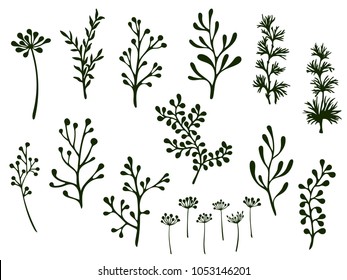 Ramas de palmeras y de flores silvestres, ramitas de helecho, musgo de liquen, mistletoe, hierbas saladas, ilustraciones vectoriales de flores de diente de león. Ramas dibujadas a mano, ramas de flores aisladas en blanco.