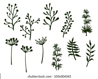 Willow and palm tree branches, fern twigs, lichen moss, mistletoe, parsley grass herbs, dandelion flower vector illustrations set. Simple branches, twigs floral collection isolated on white.