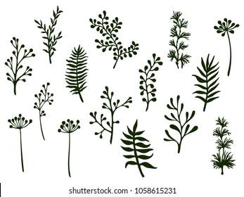 Willow and palm tree branches, fern twigs, lichen moss, mistletoe and fennel grass herbs, dandelion flower vector illustrations set. Hand drawn branches, twigs floral collection isolated on white.