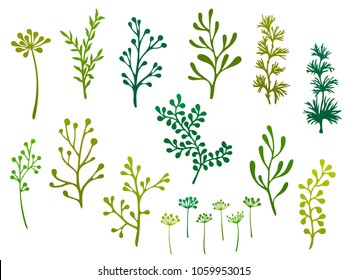 Willow and palm tree branches, fern twigs, lichen moss, mistletoe and summer grass herbs, dandelion flower vector illustrations set. Hand drawn branches, twigs floral green set isolated on white.