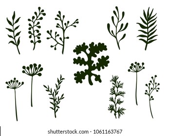 Willow and palm tree branches, fern twigs, lichen moss, mistletoe, rosemary grass herbs, dandelion flower vector illustrations set. Simple branches, twigs floral collection isolated on white.