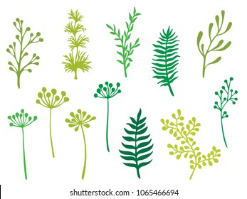 Willow and palm tree branches, fern twigs, lichen moss, mistletoe and summer grass herbs, dandelion flower vector illustrations set. Simple green branches, twigs floral collection isolated on white.