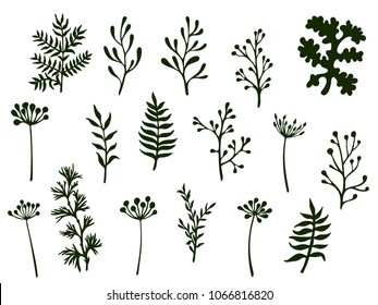 Willow and palm tree branches, fern twigs, lichen moss, mistletoe and sage grass herbs, dandelion flower vector illustrations set. Hand drawn branches, twigs floral collection isolated on white.