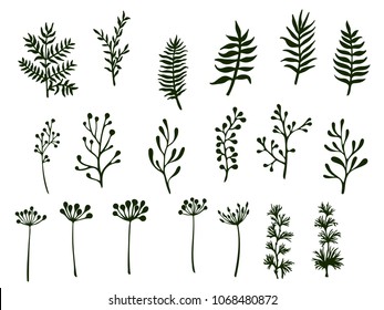 Willow and palm tree branches, fern twigs, lichen moss, mistletoe and sage grass herbs, dandelion flower vector illustrations set. Simple branches, twigs floral collection isolated on white.