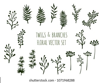 Willow and palm tree branches, fern twigs, lichen moss, mistletoe, lavender grass herbs, dandelion flower vector illustrations set. Simple branches, twigs floral collection isolated on white.