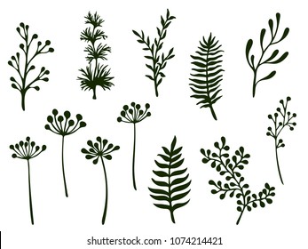 Willow and palm tree branches, fern twigs, lichen moss, mistletoe, summer grass herbs, dandelion flower vector illustrations set. Simple branches, twigs floral collection isolated on white.