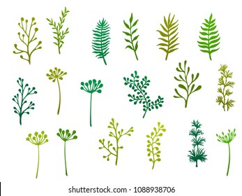 Willow and palm tree branches, fern twigs, lichen moss, mistletoe and rosemary grass herbs, dandelion flower vector illustrations set. Simple branches, twigs floral green set isolated on white.