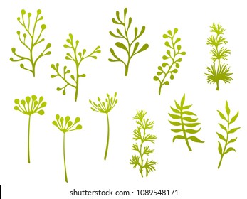 Willow and palm tree branches, fern twigs, lichen moss, mistletoe and fennel grass herbs, dandelion flower vector illustrations set. Simple green branches, twigs floral collection isolated on white.