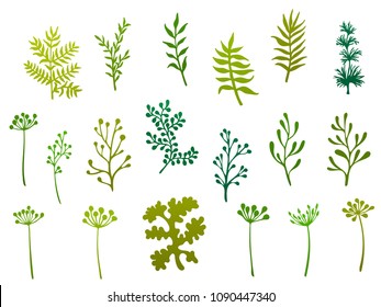 Willow and palm tree branches, fern twigs, lichen moss, mistletoe and savory grass herbs, dandelion flower vector illustrations set. Hand drawn branches, twigs floral green set isolated on white.