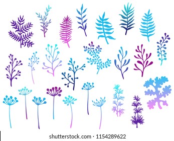 Willow and palm tree branches, fern twigs, lichen moss, mistletoe, savory grass herbs, dandelion flower vector illustrations set. Cyan blue purple branches, twigs floral collection isolated on white