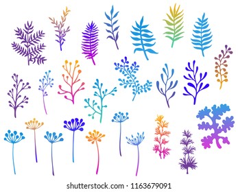 Willow and palm tree branches, fern twigs, lichen moss, mistletoe, savory grass herbs, dandelion flower vector illustrations set. Trendy colors branches, twigs floral collection isolated on white