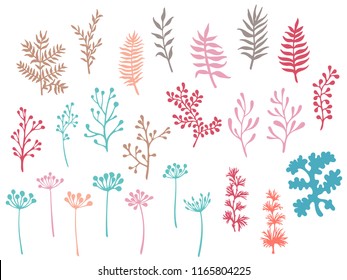 Willow and palm tree branches, fern twigs, lichen moss, mistletoe, savory grass herbs, dandelion flower vector illustrations set. Teal red brown branches, twigs floral collection isolated on white