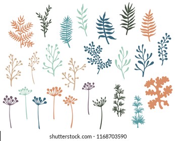 Willow and palm tree branches, fern twigs, lichen moss, mistletoe, savory grass herbs, dandelion flower vector illustrations set. Cute brown green branches, twigs floral collection isolated on white