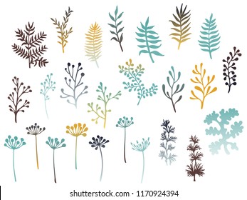 Willow and palm tree branches, fern twigs, lichen moss, mistletoe, savory grass herbs, dandelion flower vector illustrations set. Brown grey branches, twigs floral collection isolated on white