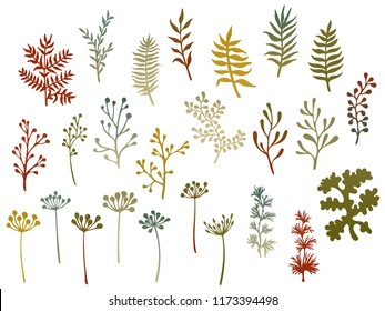 Willow and palm tree branches, fern twigs, lichen moss, mistletoe, savory grass herbs, dandelion flower vector illustrations set. Green brown cherry branches, twigs floral collection isolated on white