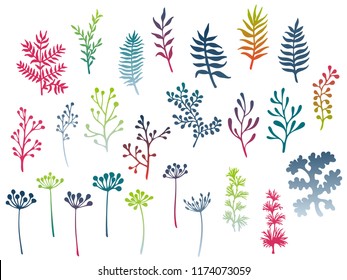 Willow and palm tree branches, fern twigs, lichen moss, mistletoe, savory grass herbs, dandelion flower vector illustrations set. Red green grey branches, twigs floral collection isolated on white